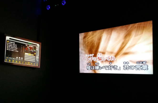 Echo Point Karaoke Club and Bar Sydney Sound System