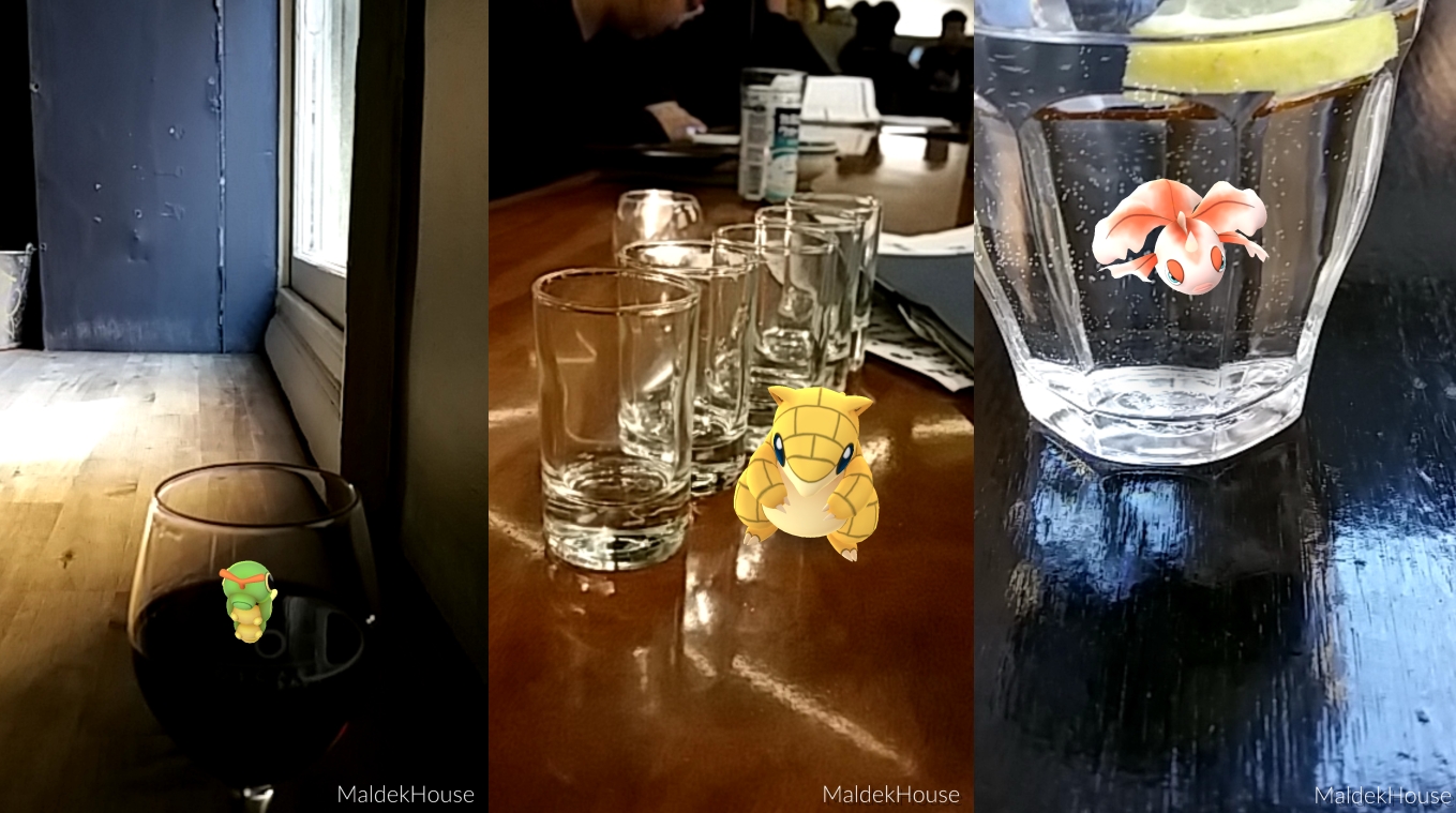 Pokémon Go Travel Wine Food