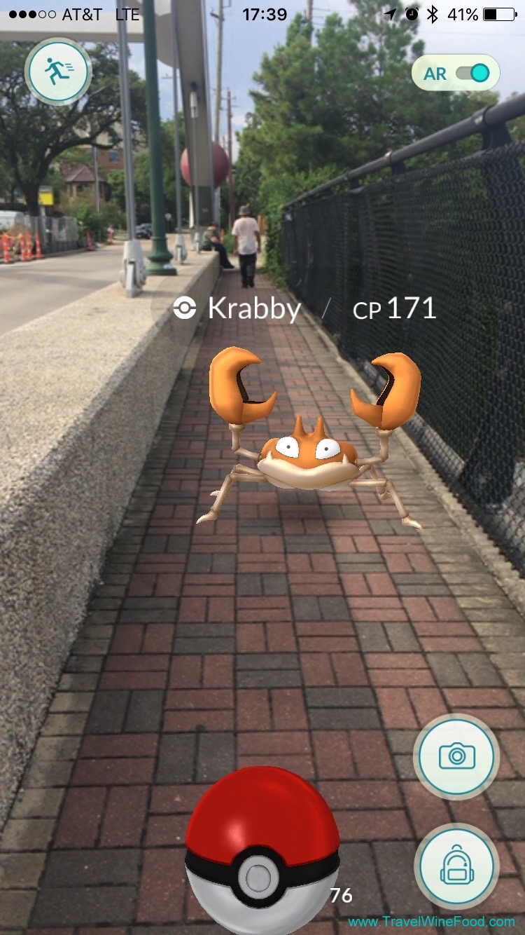 Pokémon Go Tips. Pokémon Go Glossary